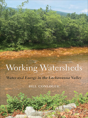 cover image of Working Watersheds